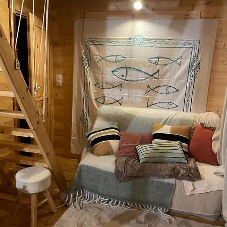 Maison En Bois 1 Chambre 4 Couchages Type Tiny House Granville Kültér fotó
